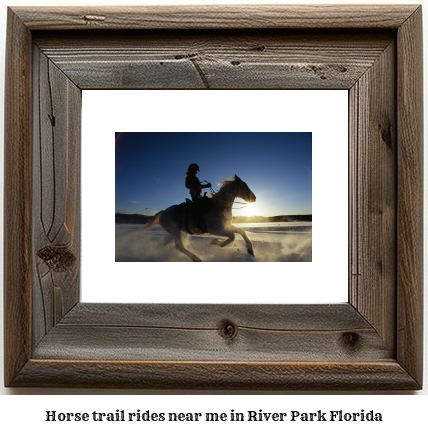 horse trail rides near me in River Park, Florida